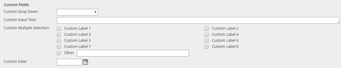 Custom Data Fields