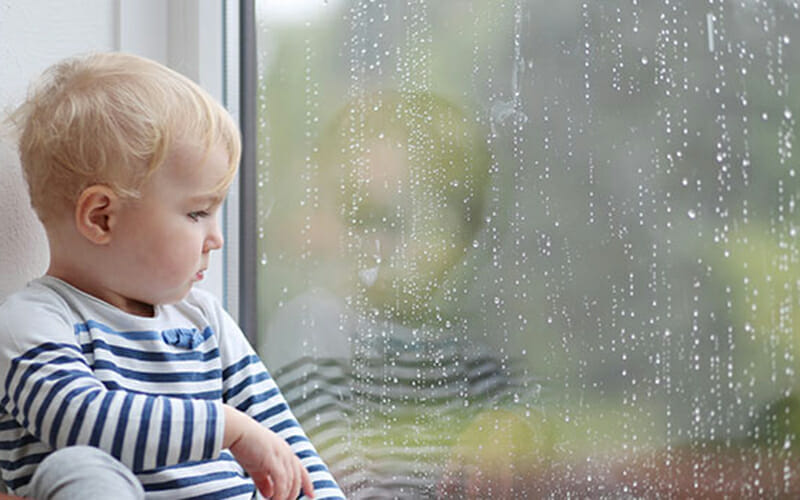 Featured image for “Do Landscaping Companies Work in the Rain?”