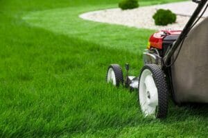 Pricing Chart for Lawn Care using a trim mower